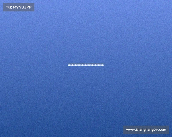 英超球员身价排行榜：最新数据揭示顶级球员的市场价值