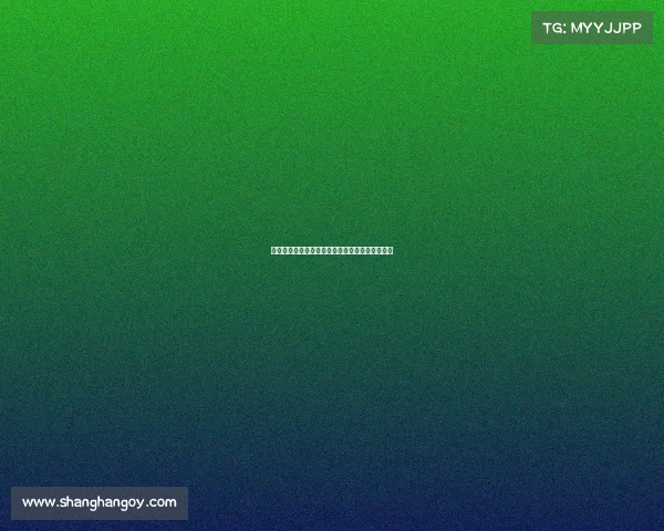 西甲各大球场容量排名及其对赛事氛围的影响分析