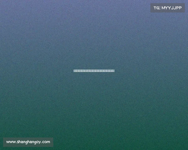 足球俱乐部转会效率分析报告揭示市场动态与投资回报潜力