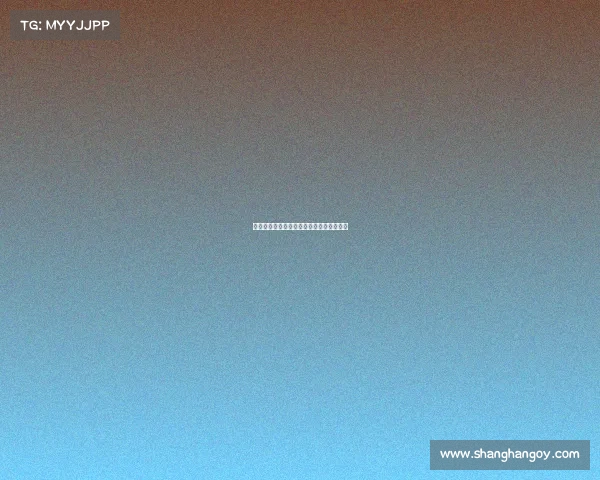 欧冠历届主办城市盘点与足球文化发展探析