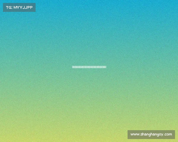 阿莱格里与塔雷深入讨论转会市场及迈尼昂续约事宜