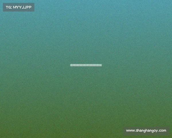 英超翻译字幕：提升观赛体验与跨文化交流的桥梁