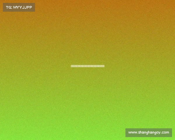 阿莱格里与塔雷继续讨论转会市场及迈尼昂续约事宜